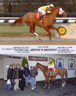 Avram C. Freedberg's racehorse, Ahvee’s Destiny, wins for the first time by four lengths in the last race of 2006 at Aqueduct. Instead of taking the lead and fading, as she had done in her two prior efforts, Ahvee’s Destiny took the lead and never relinquished it. A very exciting first win in her last race as a two-year-old filly! Included in the winner’s circle are from left: Avram C. Freedberg, trainer Linda Rice, Harvey Fishman, and jockey, Chuck C. Lopez. 