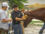 Ahvee’s Destiny getting her head scrubbed.