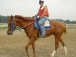 Roberto, the exercise rider, working out Ahvee’s Destiny.